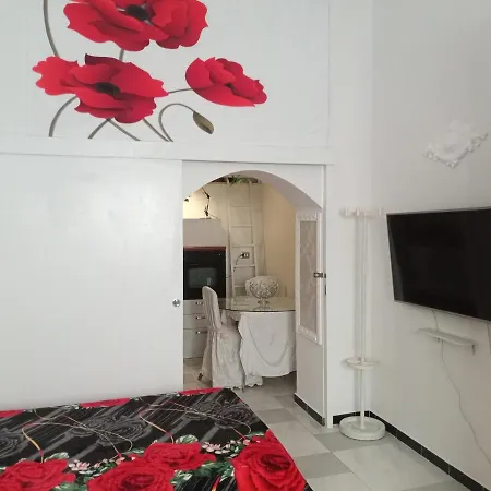 Whole Apartment On 2 Floors